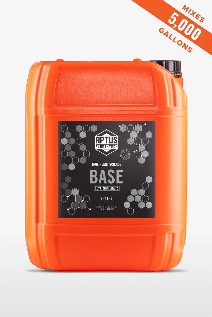 Base
