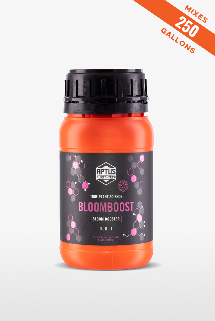 Bloomboost