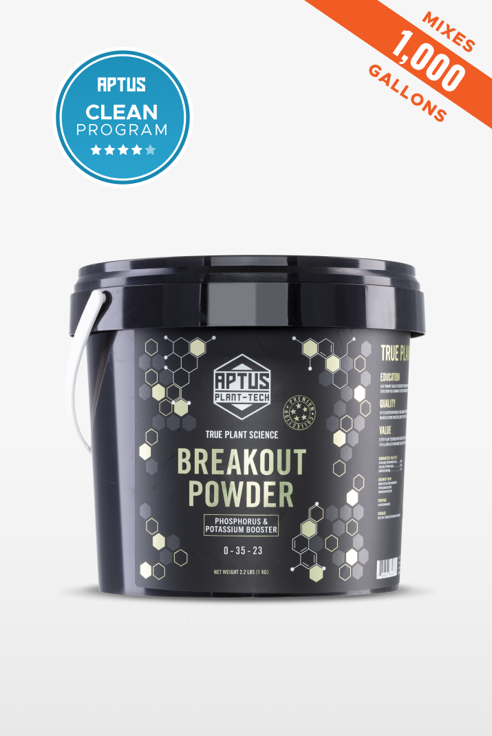 Breakout Powder