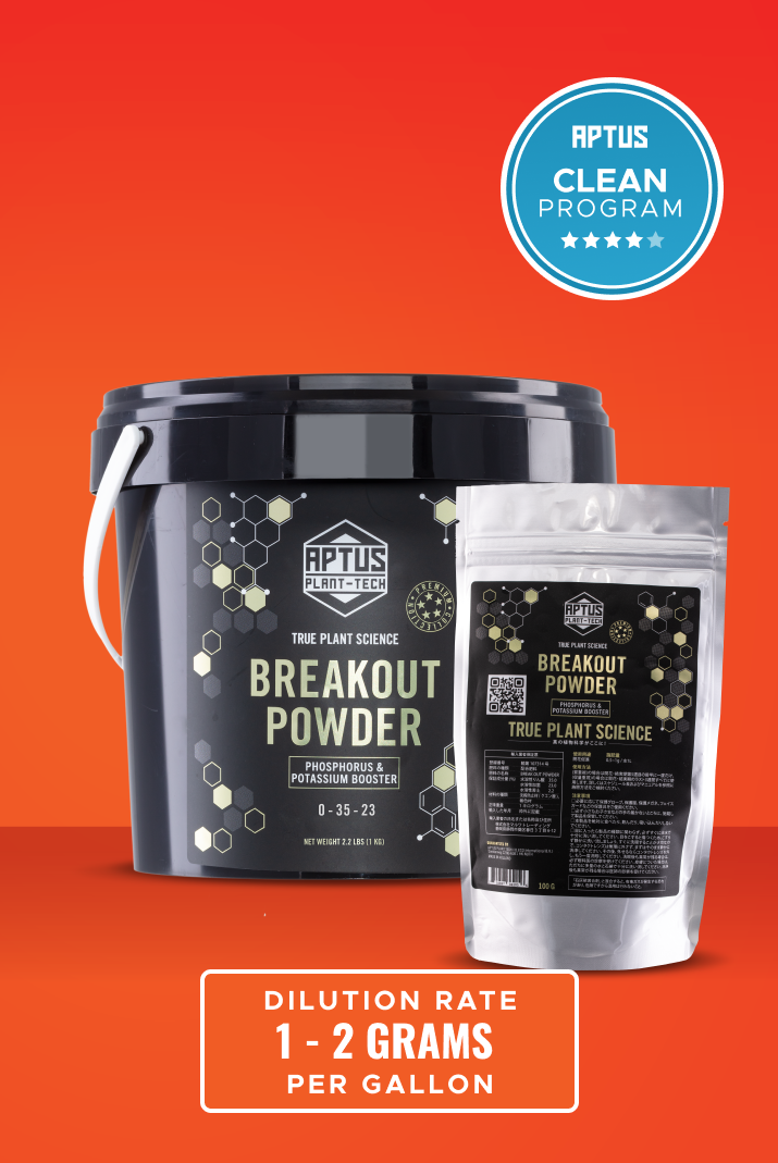 Breakout Powder