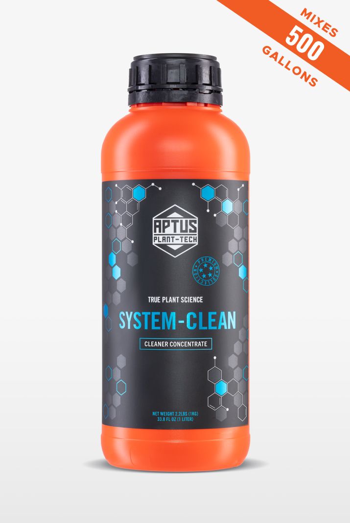 The CLEAN Program