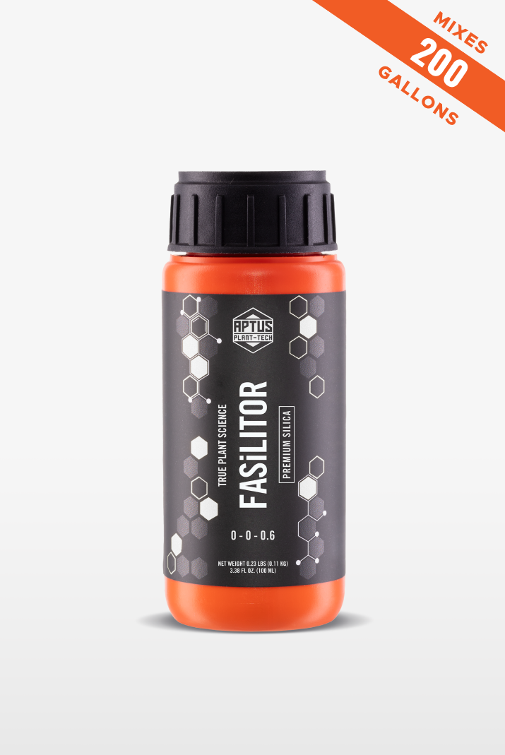 Fasilitor