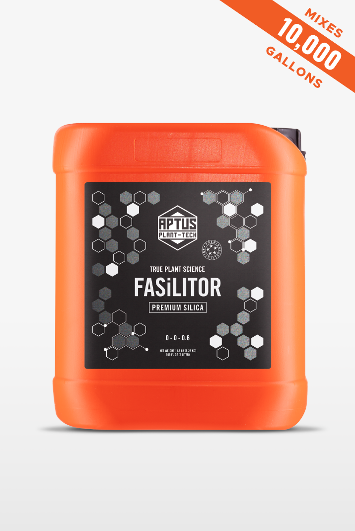 Fasilitor