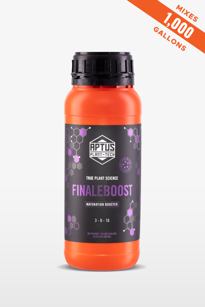 Finaleboost