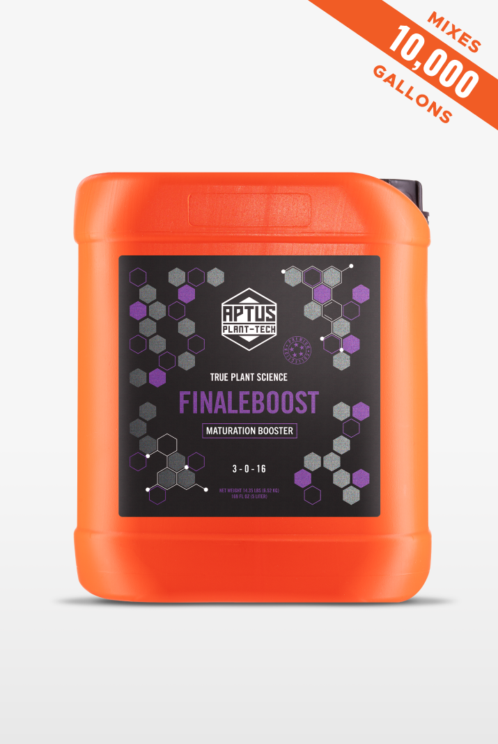 Finaleboost