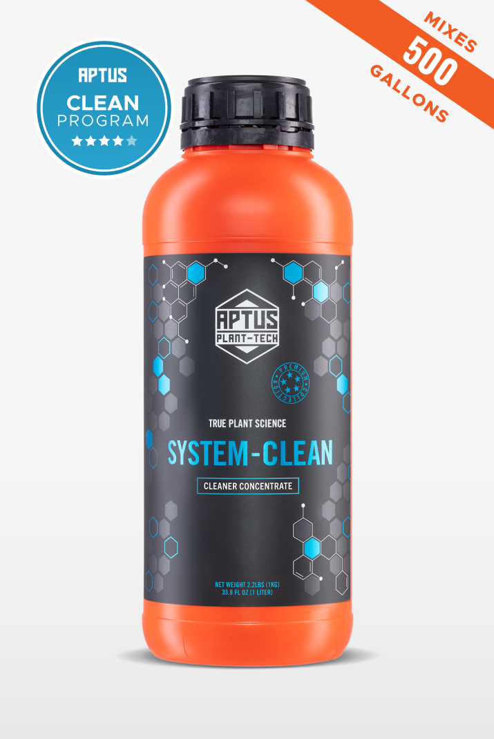 System-Clean