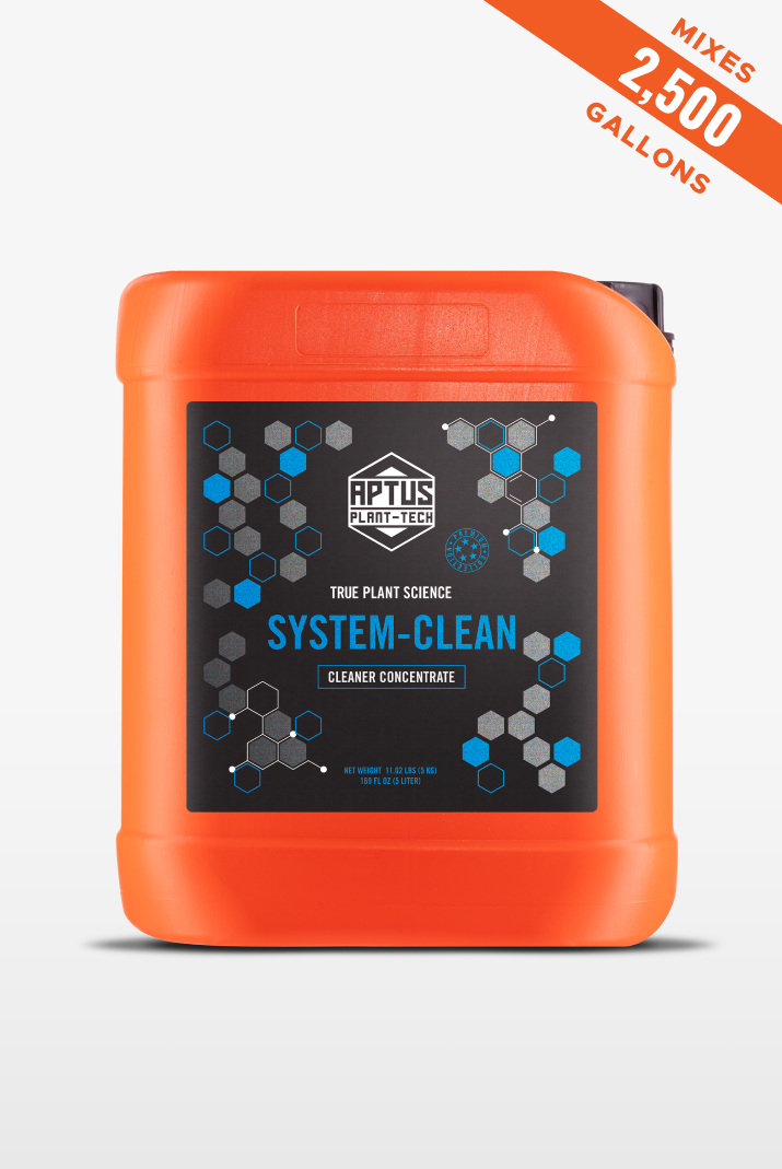 System-Clean